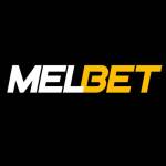melbet net Profile Picture